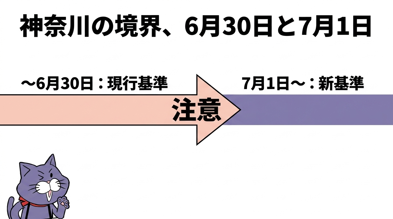 やさしい行政書士事務所のマスコット猫