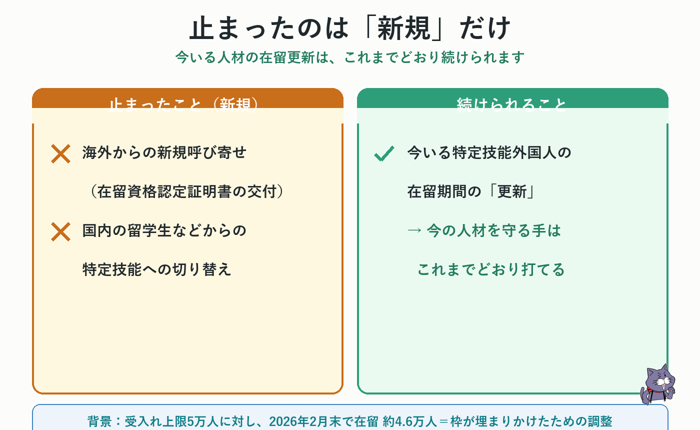 止まったのは新規だけ。海外からの新規呼び寄せと国内留学生からの切り替えは停止、今いる人材の在留更新は継続可能